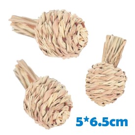 Juguete para Hamsters - 1