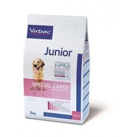 Junior Special Large - 1