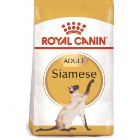 Royal Canin Gato Siamese Adult - 1
