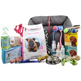 Pack Completo Raza Shiba Inu - 1