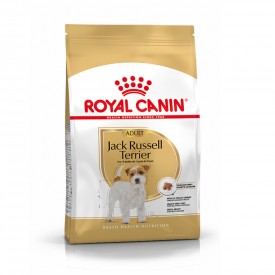 Royal Canin Adulto Jack Russell Terrier - 1