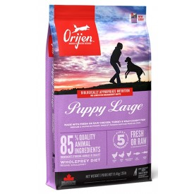 Orijen Puppy Large - 1