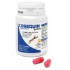 Cosequin Advance Gatos 45 capsulas - 1